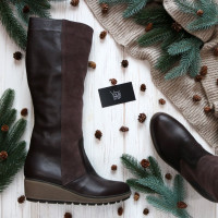 Чоботи на танкетці Арт.30-1(Ir3)