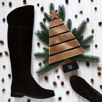 Ботфорти із замші кольору шоколад 12-31V