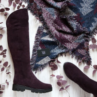 Ботфорти із замші 12-31(S2)