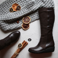 Чоботи на танкетці Арт.30-1(Ir3)