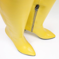 Класичні чоботи на шпильці Арт. 657-14/36