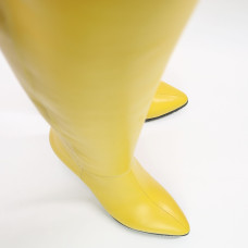 Класичні чоботи на шпильці Арт. 657-14/36