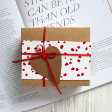 Кардхолдер з сірої шкіри під рептилію Арт. KH-mini