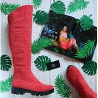 Ботфорти із натуральної замші 12-31(S2)