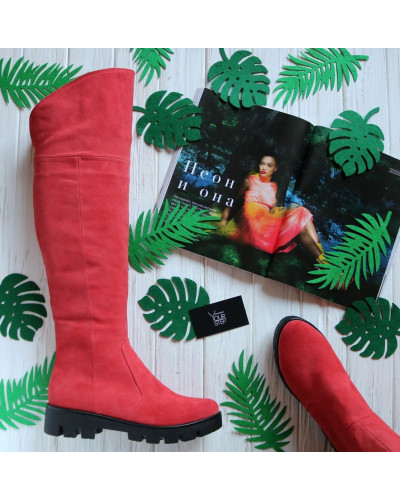 Ботфорти із натуральної замші 12-31(S2)