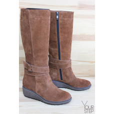 Чоботи на танкетці Арт.30-1(Ir3)-0036