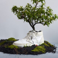 Эко-обувь как забота о природе